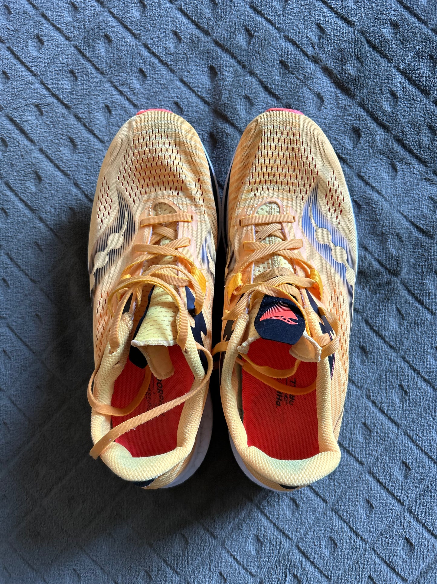 Baskets Saucony Endorphin pro 2 d’occasion. Taille 43/44